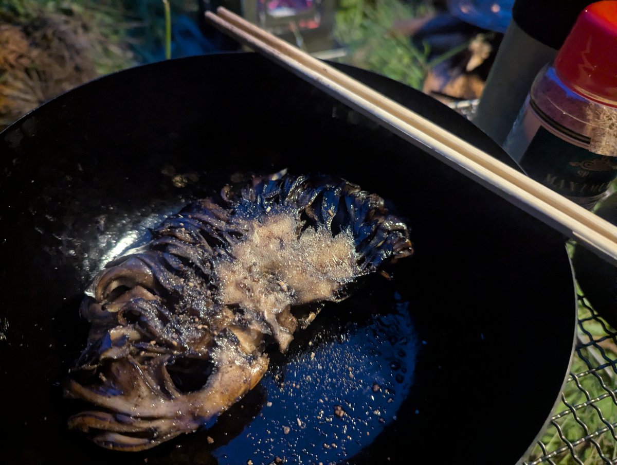 honmaguroVR's tweet photo. よく行くキャンプ地が人食い熊の影響で閉鎖されてるので別の場所で。黒舞茸のステーキと麻婆豆腐。購入当初は革新的な鋼材だったH1鋼も今では時代にそぐわなく生産終了、最新粉末鋼のマグナカットは比較にならない性能なんだとか。H1も調理用なら必要十分だけど鋼材も日進月歩ですね https://t.co/t4fi9hRetg