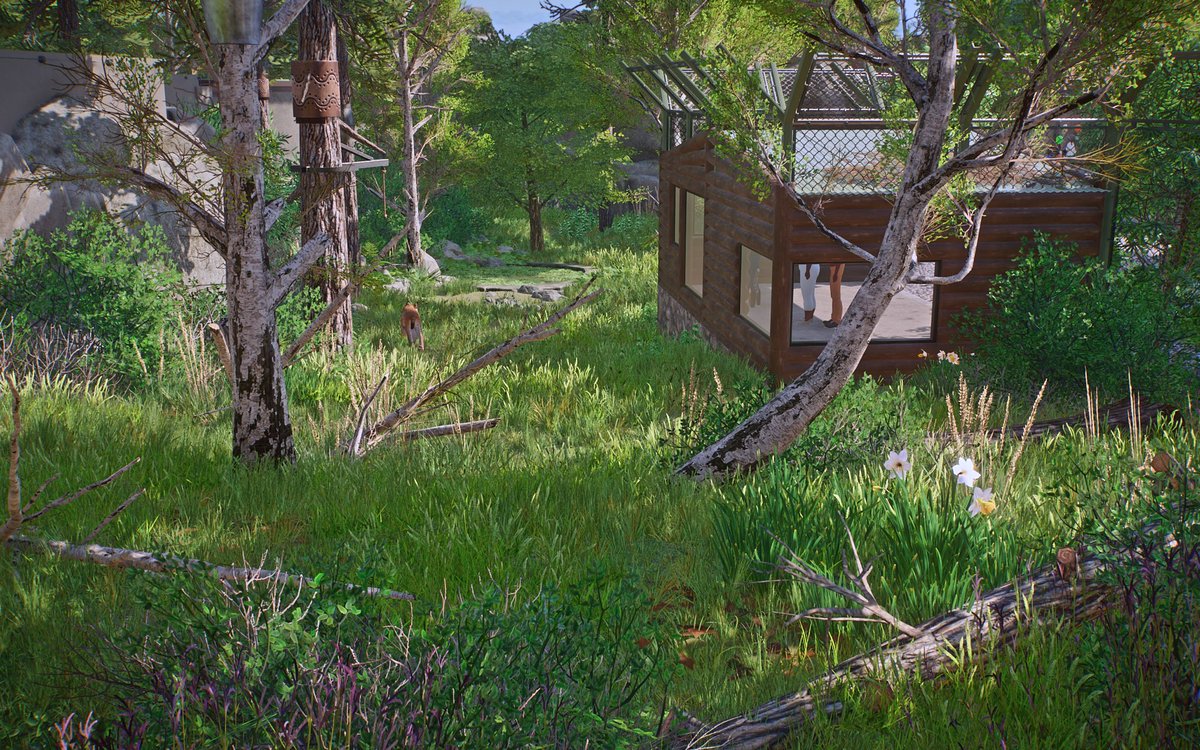 AtlasBlogger's tweet photo. This time we are building for a majestic animal: the Eurasian Lynx!🌲🩵Now on YouTube, link in bio!
#planetzoo https://t.co/yPI0MQm4bU