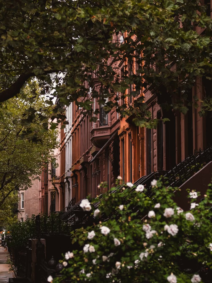 worldclick56's tweet photo. Rainy Day in New York 🇺🇲🍃 https://t.co/CPiBJxSjik