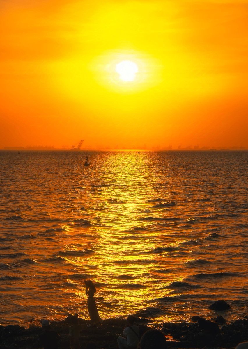 mimimi36's tweet photo. Just tried a dawn wild swimming session—cold water shock turned to pure, buzzing energy, and the pink sky above the waves made every second worth it. Game-changing new way to start the day!， https://t.co/2YlMx7nyc6