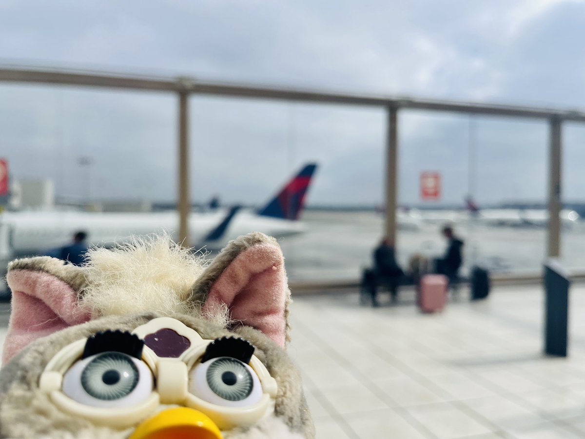 MaadFoxy's tweet photo. 怒涛の初渡米ドタドタ3日間completedε-(´∀｀*)ホッ えぇーー行く前はドキドキワクワクとこれ大丈夫かなぁー？ww って不安が同時におしおせてきててめっちゃ今さっきまでカオス状態やったんですがようやく搭乗口まで辿り着けて今ようやく一息つけた♪♪

ペフ「ｼﾝｿﾞｳｶﾞ､ﾄﾞｷﾄﾞｷﾊﾞｸﾊﾞｸﾊﾗﾊﾗｰｰcompleted!!」

ペフ「ﾋﾄｲｷﾂｲﾀｶﾗ､ﾌｧﾐﾆ､ｵ~ﾐﾔｹﾞｵ~ﾐﾔｹﾞ♪♪」

ってな感じで今から🇯🇵へ帰郷するぜぃ♪♪(‘▽^d) GoodBye~America~🇺🇸🗽✨️