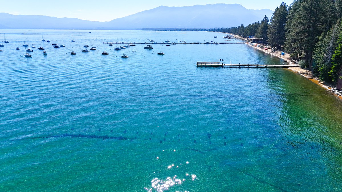 KirkwoodMtnCoop's tweet photo. Coop Cooper
#StokeLevel is solid at Camp Richardson Marina - Happy 250th weekend, my friends...
Stay'nThirsty
Coop https://t.co/1qXkU78ybv