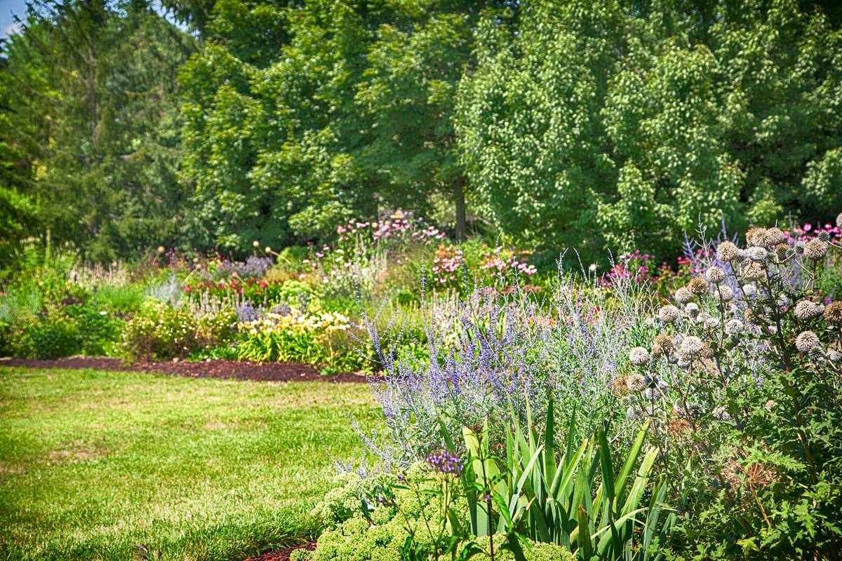 threezsupply's tweet photo. The 10-Minute Garden Task You Shouldn’t Skip Before a Heat Wave  https://t.co/pjyRDPKnUg https://t.co/HnoDjZ8l1p