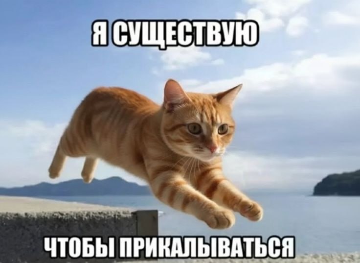 catsilcats's tweet photo. https://t.co/OZeByg8viU
