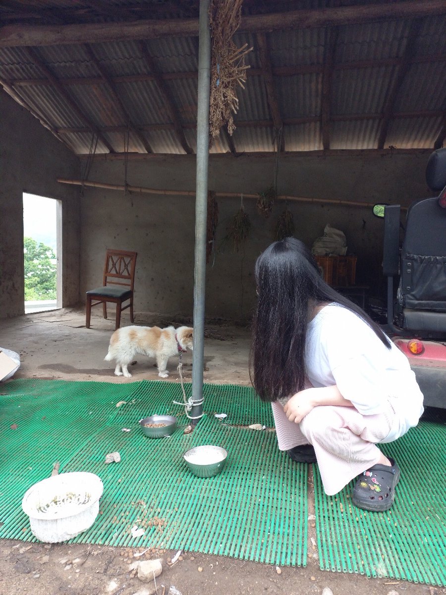 핑복 tweet media