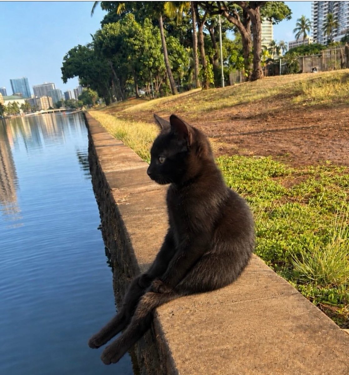 Hana_b30's tweet photo. What on earth are you doing sitting by the river? https://t.co/oEObwlm8Xs