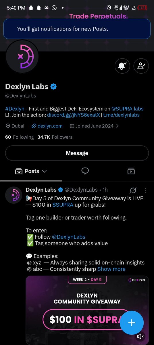 dipxcity tweet media