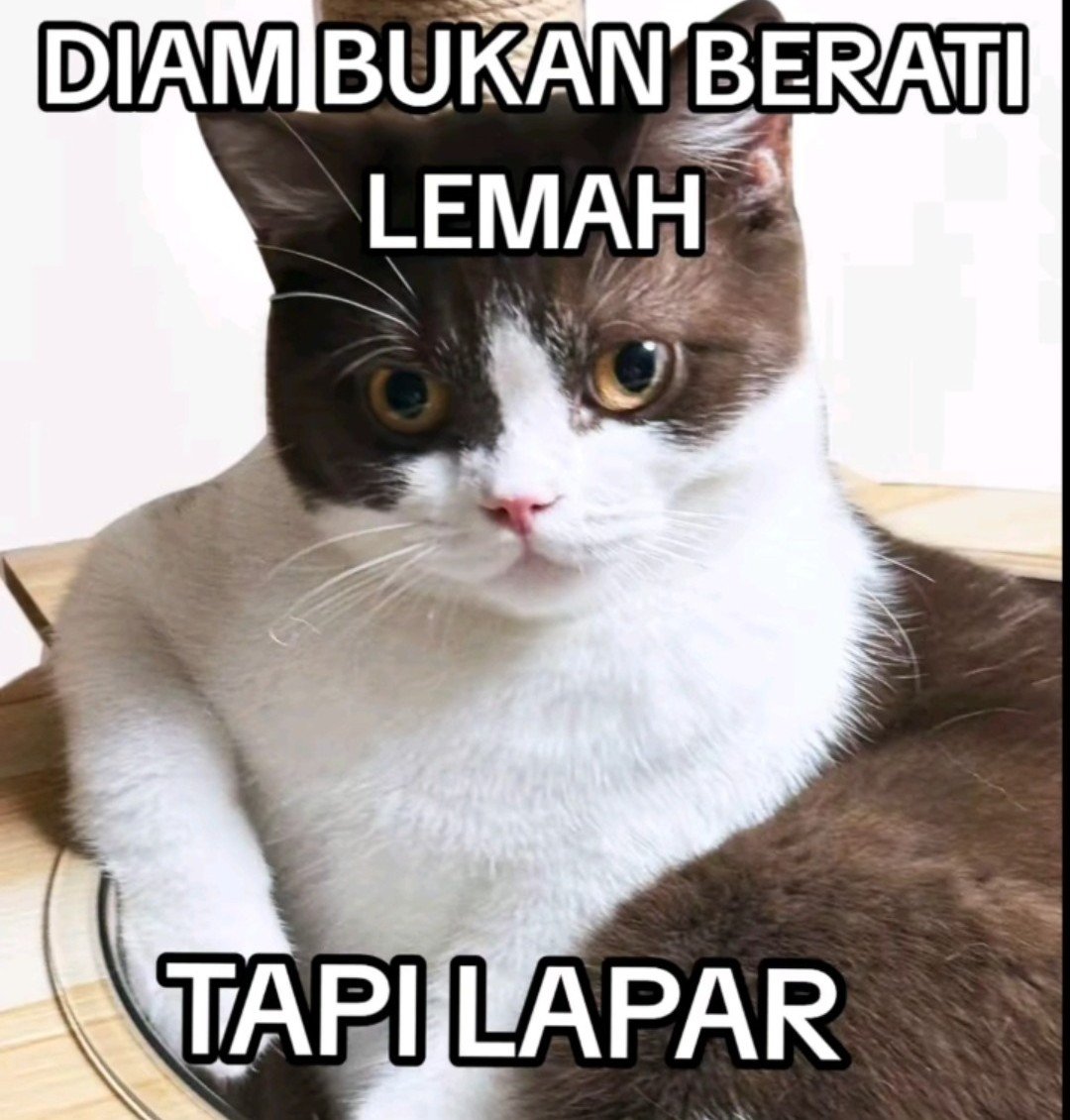 casshava_chipz's tweet photo. MICUKKK https://t.co/KW0mgld3Ji