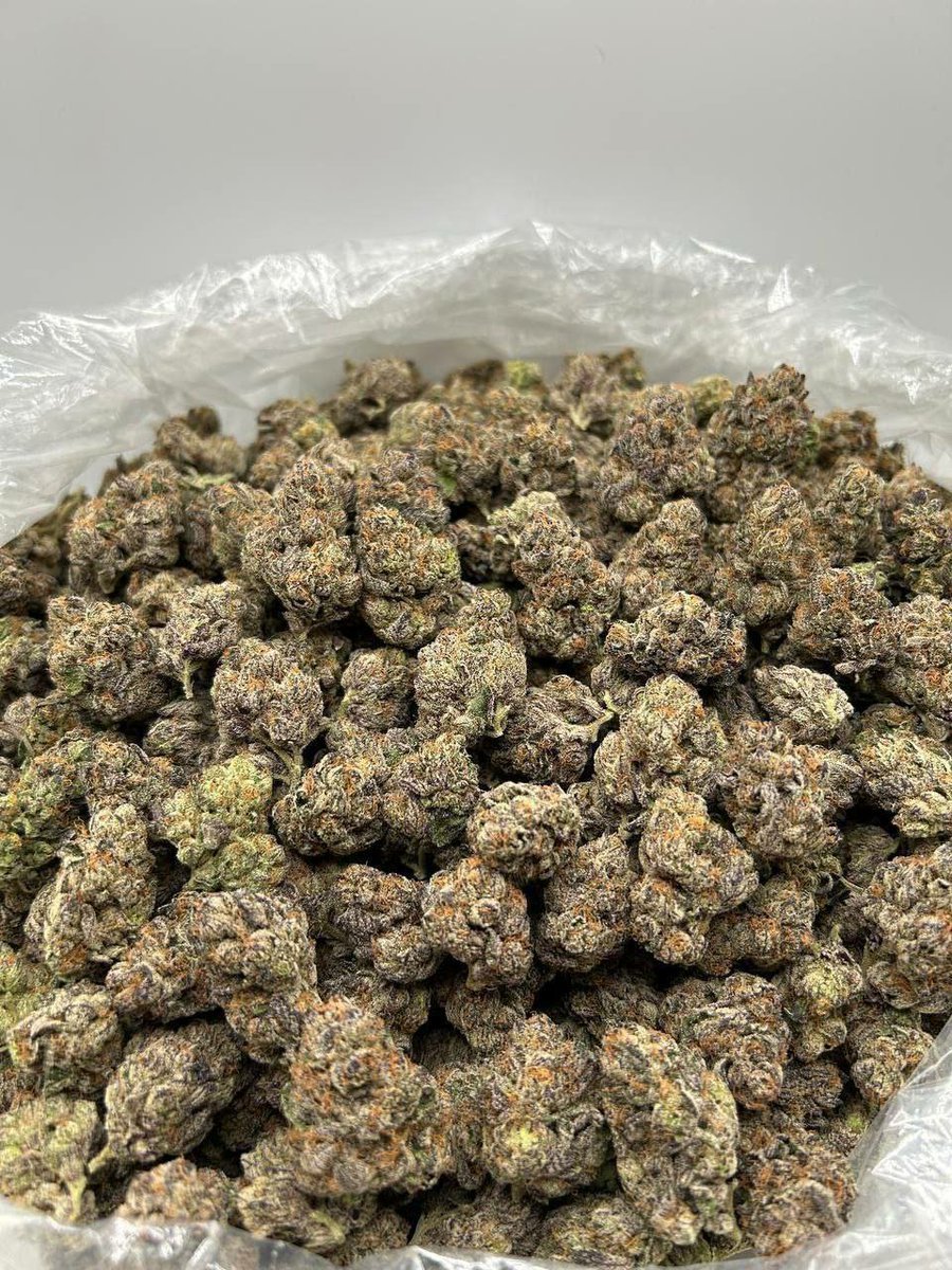Jameskushplug's tweet photo. Weed Aberfeldy Delivery, Weed Crianlarich Delivery, Weed Dunfermline Abbey Delivery, Weed Fife Coastal Path Delivery, Weed Glen Coe Delivery, Weed Isle of Arran Delivery, Weed Loch Awe Delivery,Weed Royal Deeside Delivery https://t.co/hknDIEkqYB