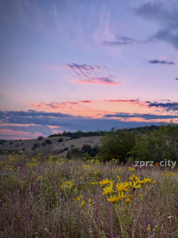IndustrialkaZP's tweet photo. 🇺🇦🌅 😍Запорізьке надвечір'я 
Фото Кандубей Юлія
#Запоріжжя #Zaporizhzhia #zprzcity https://t.co/Xh6Hjfnu2g