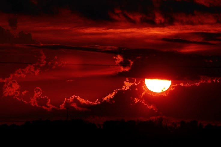 sovietsoleri's tweet photo. "A man driven by rage may stumble, in his passion, onto truth." — Philip K. Dick https://t.co/ouxmtzPHwU