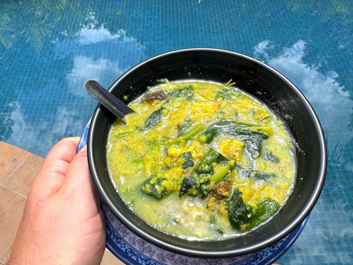 OutdoorVCooking's tweet photo. Green Curry Beef Soup https://t.co/T2GHkmRZvt