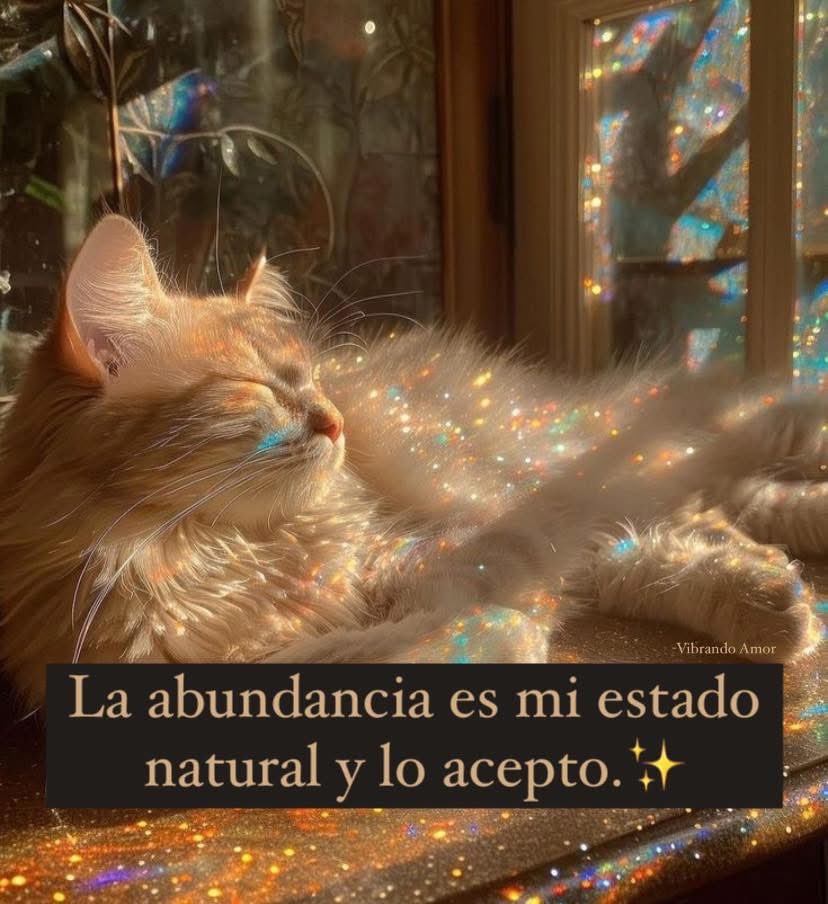 maryale1218's tweet photo. Y lo acepto, soy abundancia …🙏✨🍀✨❤️ https://t.co/qFGYS8rUMV