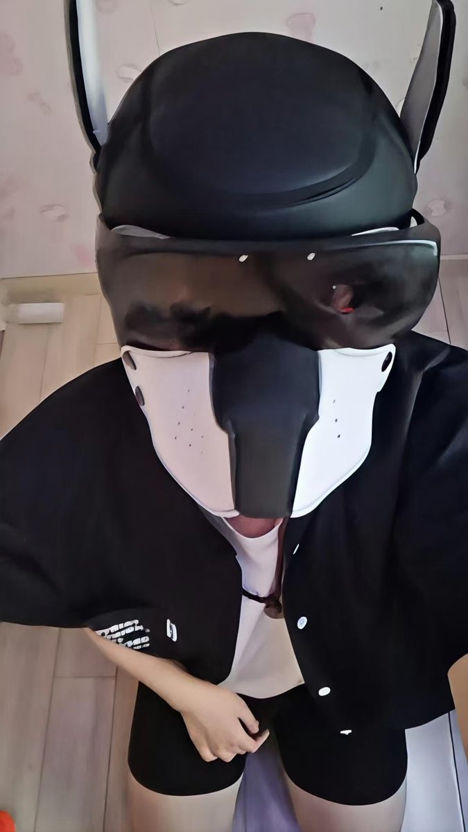 warframe757808's tweet photo. 我就这样萌萌的看着你 #m #狗狗
#gay https://t.co/ro6FkgFzkb