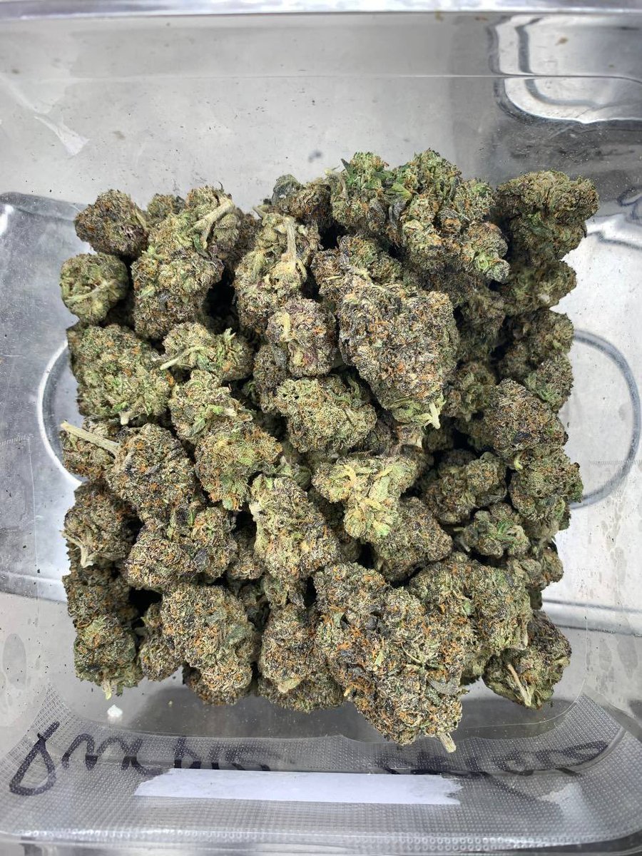 Jameskushplug's tweet photo. Weed Aberfeldy Delivery, Weed Crianlarich Delivery, Weed Dunfermline Abbey Delivery, Weed Fife Coastal Path Delivery, Weed Glen Coe Delivery, Weed Isle of Arran Delivery, Weed Loch Awe Delivery,Weed Royal Deeside Delivery https://t.co/hknDIEkqYB