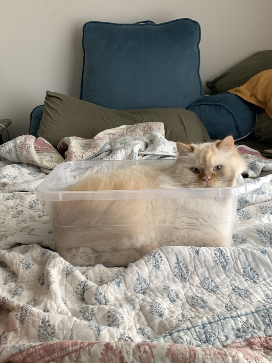 gonzpics's tweet photo. box gonz https://t.co/akaXk0Fps4