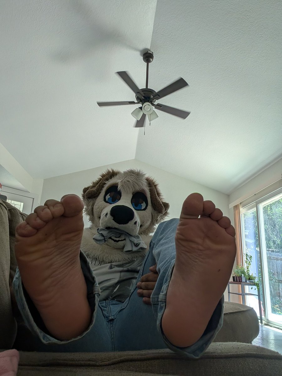 IzzyPubby's tweet photo. Got into the socks again~ https://t.co/dKDJ4XpldB