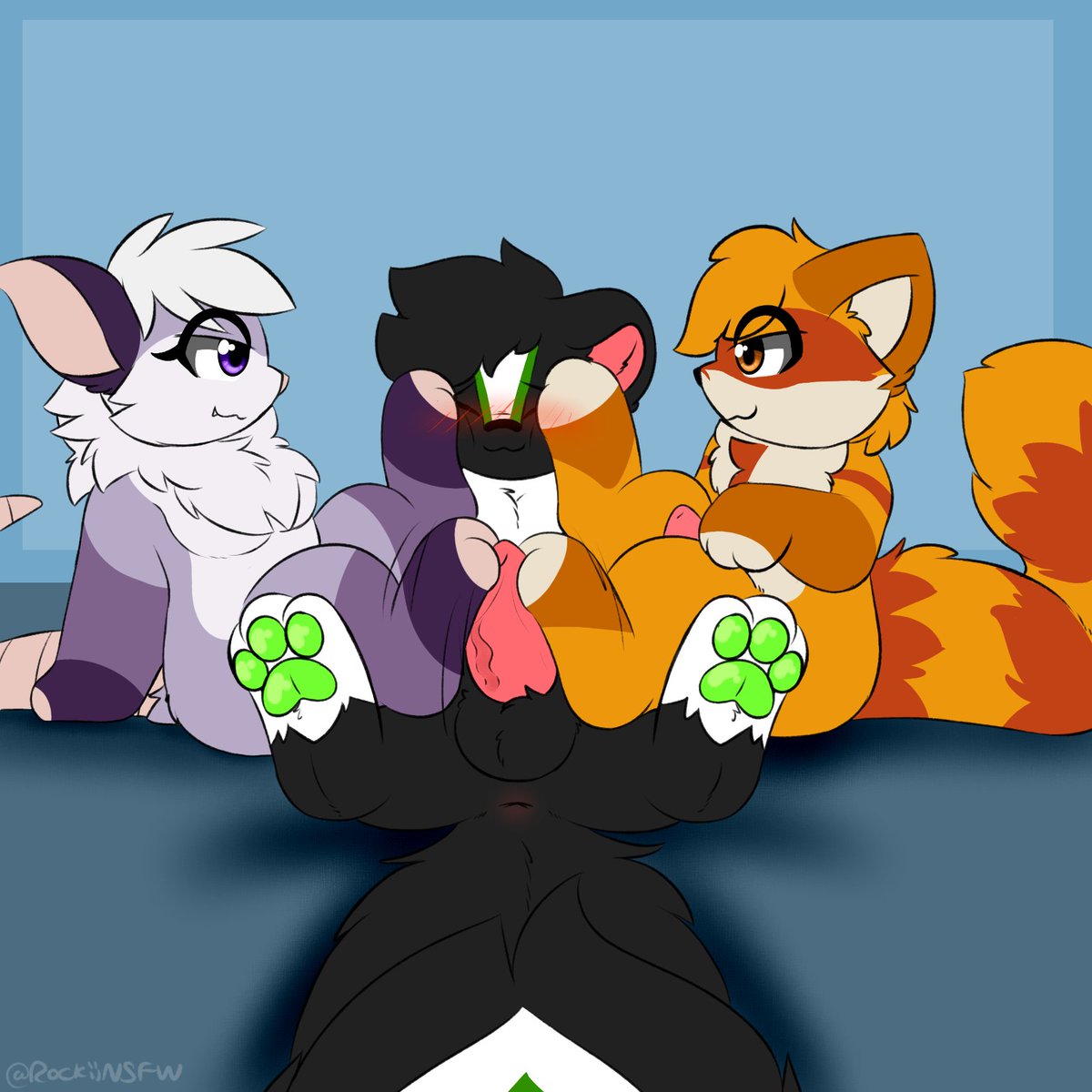 RockiiNSFW's tweet photo. being squished between two pairs of paws, in both ways.... https://t.co/QoGMfmYp2y