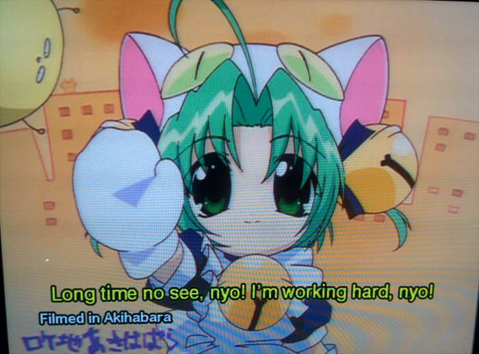 Lua_Bathory's tweet photo. nyo! https://t.co/rwqOyMylLO