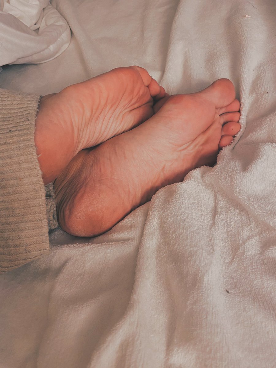 comtesseleorah's tweet photo. je veux un chien maintenant #findom #domina #soumis #moneyslave #moneymiss #paypig #sissy #ATM #feetfetısh #payoal #revolut #slave https://t.co/USLq4t9pNH