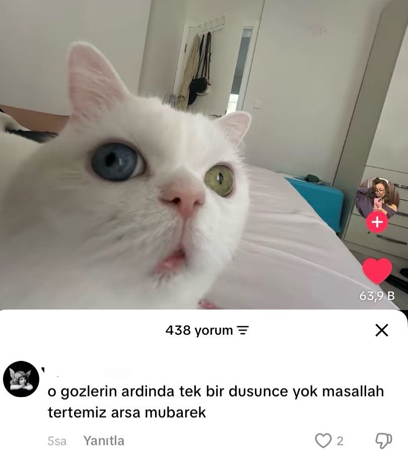 bakyabiisusss's tweet photo. https://t.co/FjTRAhduky