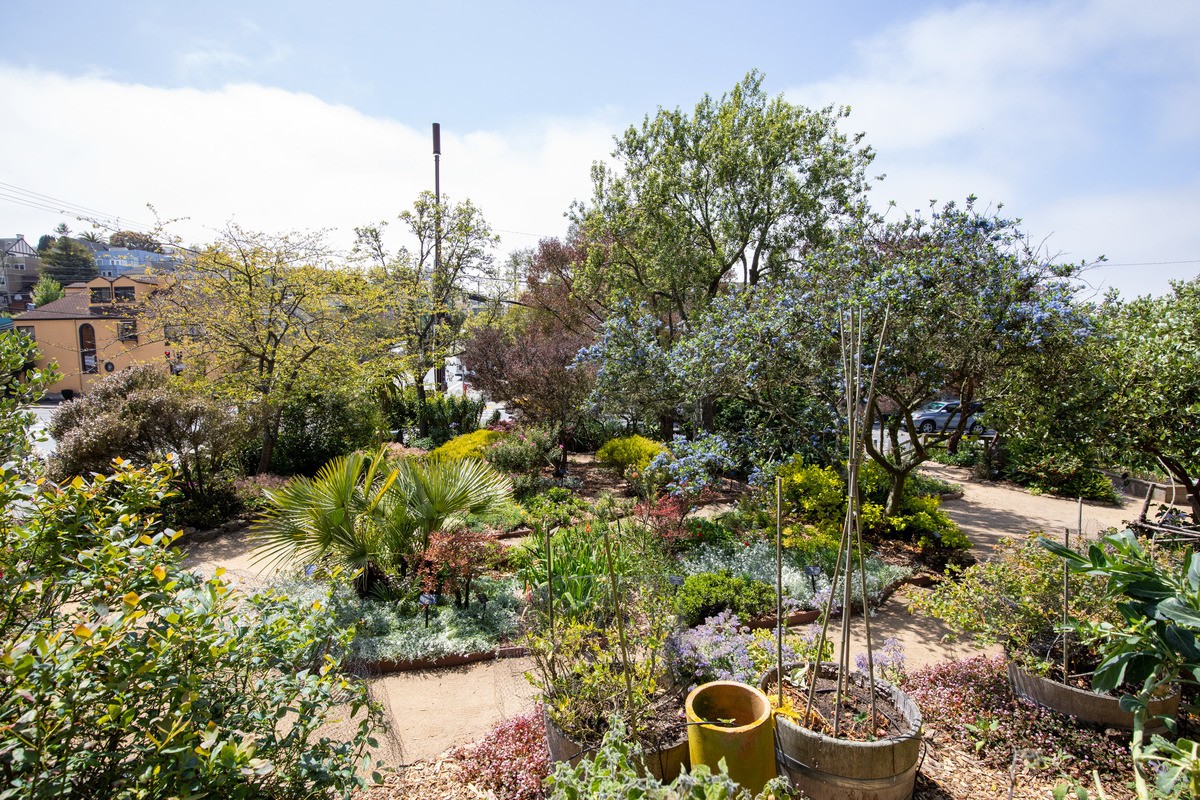 MySFPUC's tweet photo. 🍎 Got fruit trees? Join Garden for the Environment on July 18 for a hands-on workshop and learn how summer pruning can help keep your trees healthy, productive, and thriving.

🌳Register today: https://t.co/gCh5Qh9tVU https://t.co/4b124YY46F