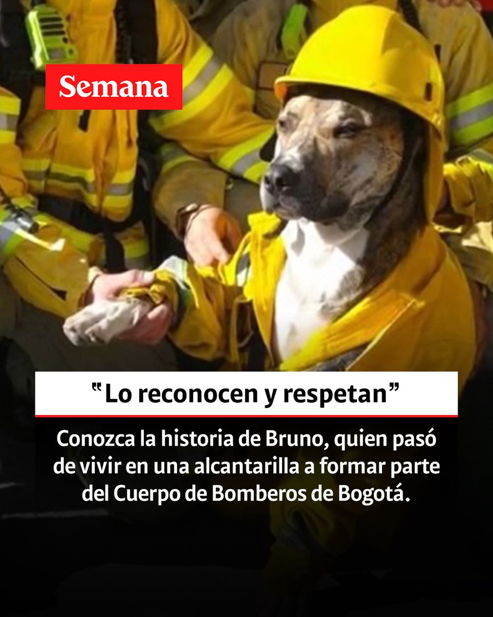 RevistaSemana's tweet photo. Le contamos: https://t.co/ssVlFw9uCF https://t.co/5ha9aND5FZ