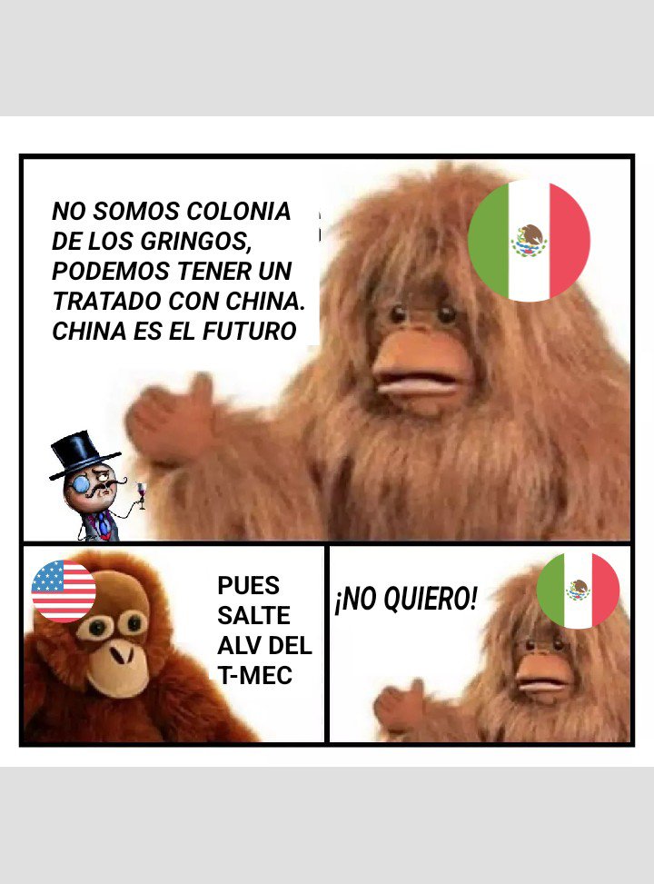 Bolívar Montejo Barra tweet media