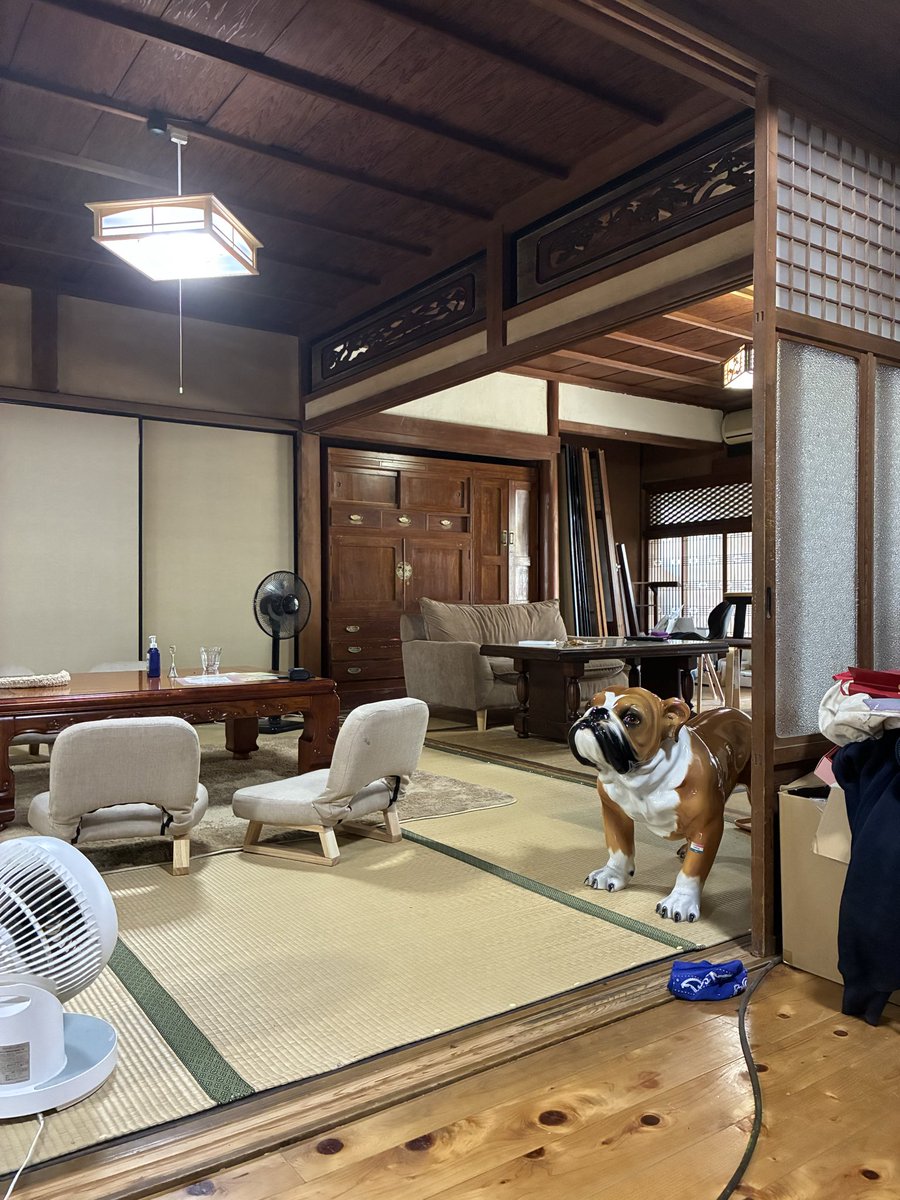 kamekameeeeeeee's tweet photo. #加太うみいろショップラリー
#さちまる 
古民家で雰囲気がとても良かった🥰
たこ焼き美味しかったし多分また食べにくるかも https://t.co/eQ7sk7rgDH