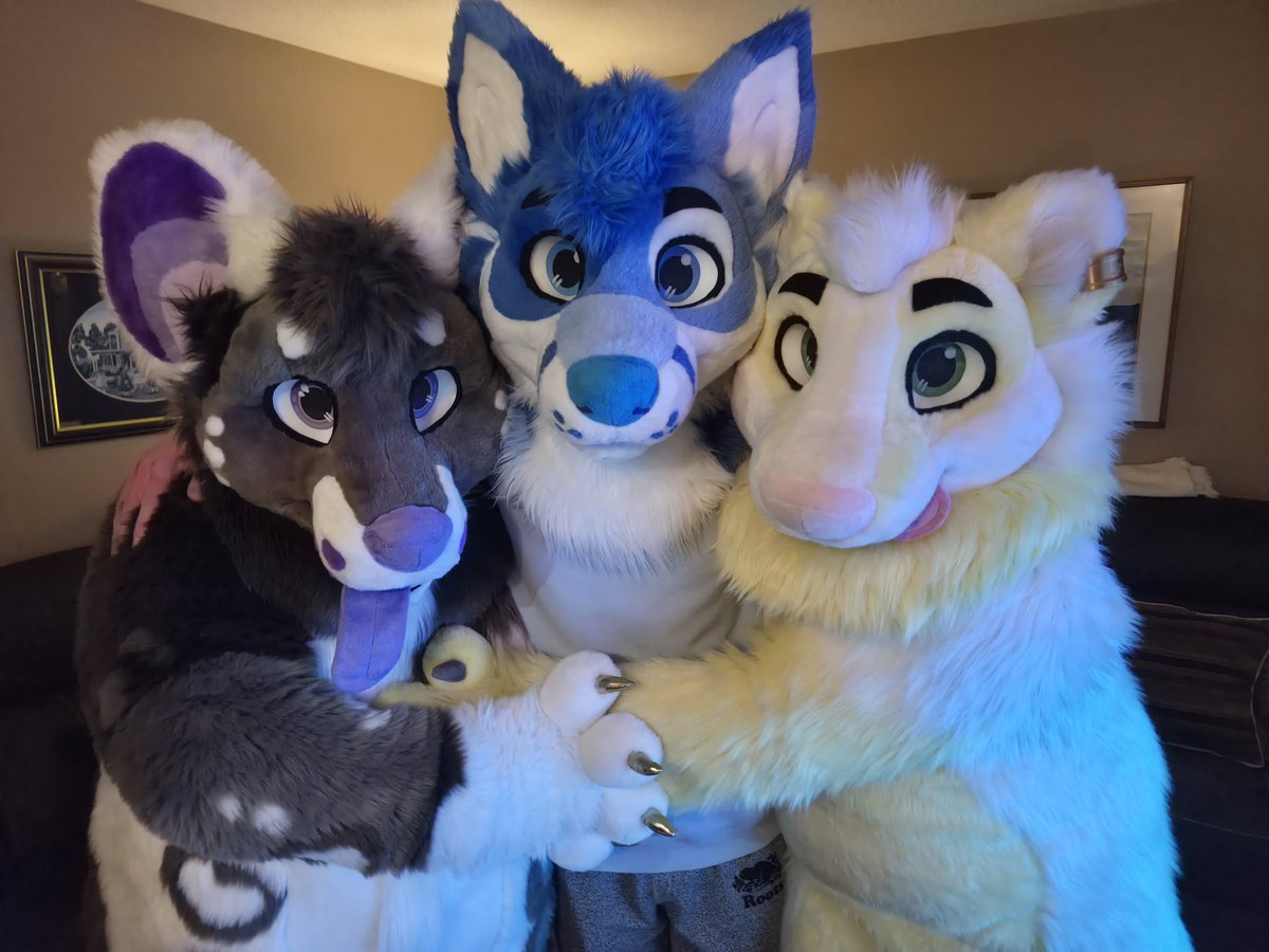 HannyBadgers's tweet photo. Happy #fursuitfriday from myself and two of the cutest fluffs around! 

Always a great time getting to yap with these two cuties 💛

🟦🦊 @northernbluefox
🟪🐕 @AxiomSteelWolf 

All three suits by the amazing 
@WildDogWorks https://t.co/JIKKi9MRoi