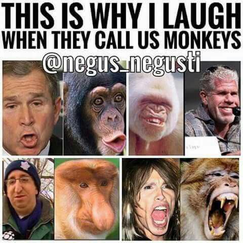 TheSBMayor's tweet photo. @DixieDemoKKKrat @TheAverageFBA @Retired17775326 @LFRFamily You can’t even read or refute what I presented. Low intellect.
I noticed you couldn’t stay your low hygiene, morally nonexistent, low birth rate soon to be extinct asses in Europe.
By the way, we grow hair not fur, and we don’t have Neanderthal DNA like 🫵🏾.
#TryAgain https://t.co/yV87kuC2uD
