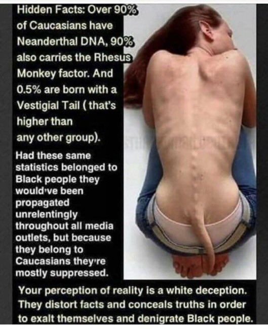TheSBMayor's tweet photo. @DixieDemoKKKrat @TheAverageFBA @Retired17775326 @LFRFamily You can’t even read or refute what I presented. Low intellect.
I noticed you couldn’t stay your low hygiene, morally nonexistent, low birth rate soon to be extinct asses in Europe.
By the way, we grow hair not fur, and we don’t have Neanderthal DNA like 🫵🏾.
#TryAgain https://t.co/yV87kuC2uD