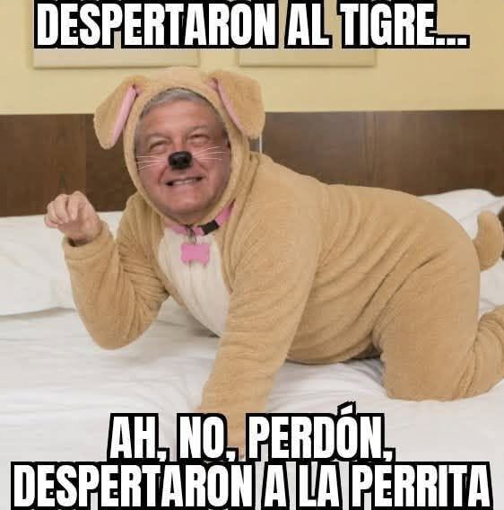 SERESAN00's tweet photo. @jenarovillamil @RicardoBSalinas CONTIGO JENARO, TRIO DE HOMOSEXUALES... https://t.co/oBRs4aZO6Y