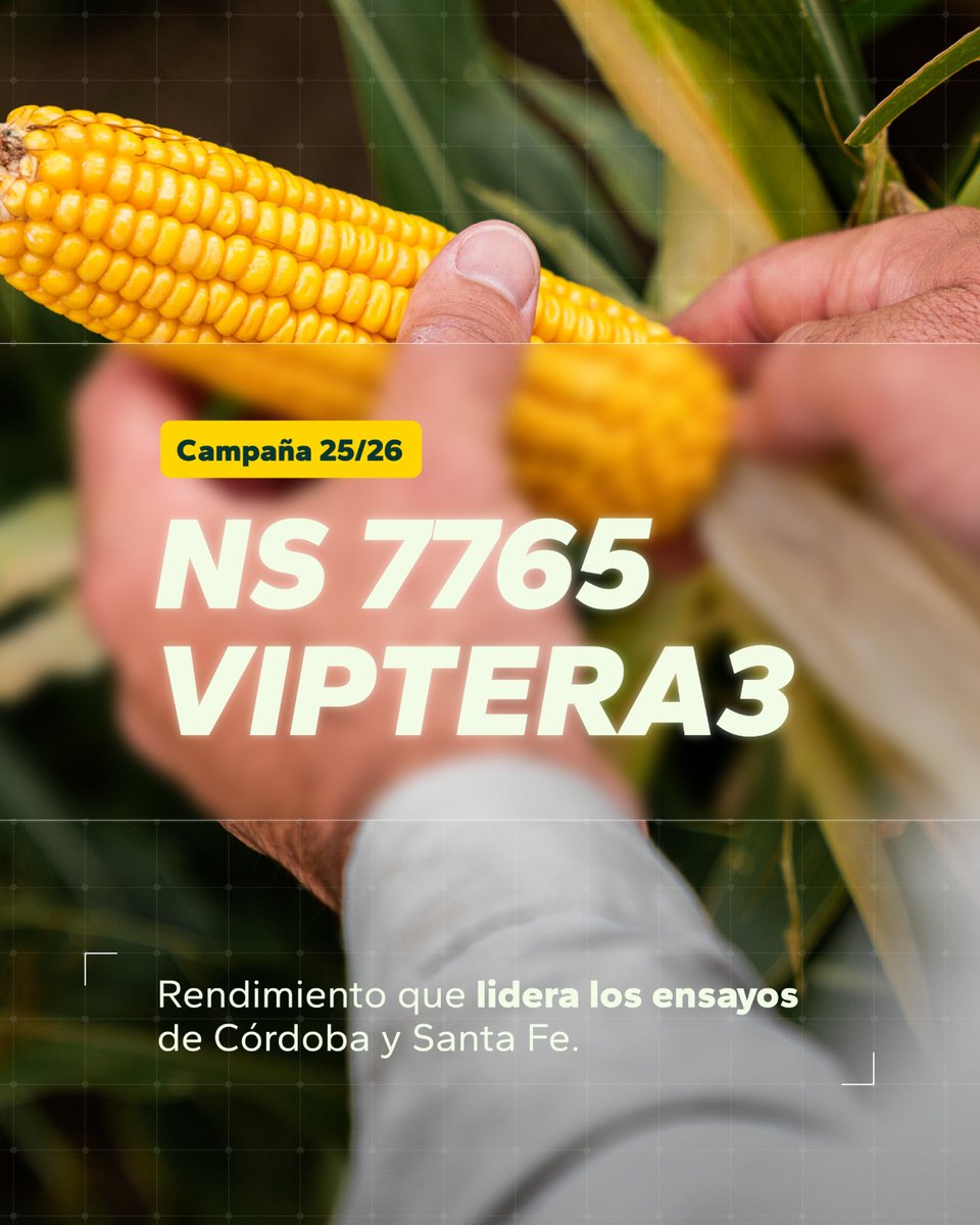 OrtegaHermanos's tweet photo. 🌽 NS 7765 VIPTERA3 se posicionó entre los primeros puestos de los ensayos realizados en Córdoba

Sumá estos resultados a tu próxima campaña de maíz.​

📲 (3534) 236367
💻info@ortegahermanos.com.ar
🌐https://t.co/T0PYabovsP

#OrtegaHermanos #NideraSemillas #Maíz #NS7765VIPTERA3 https://t.co/FBxiJVa34C