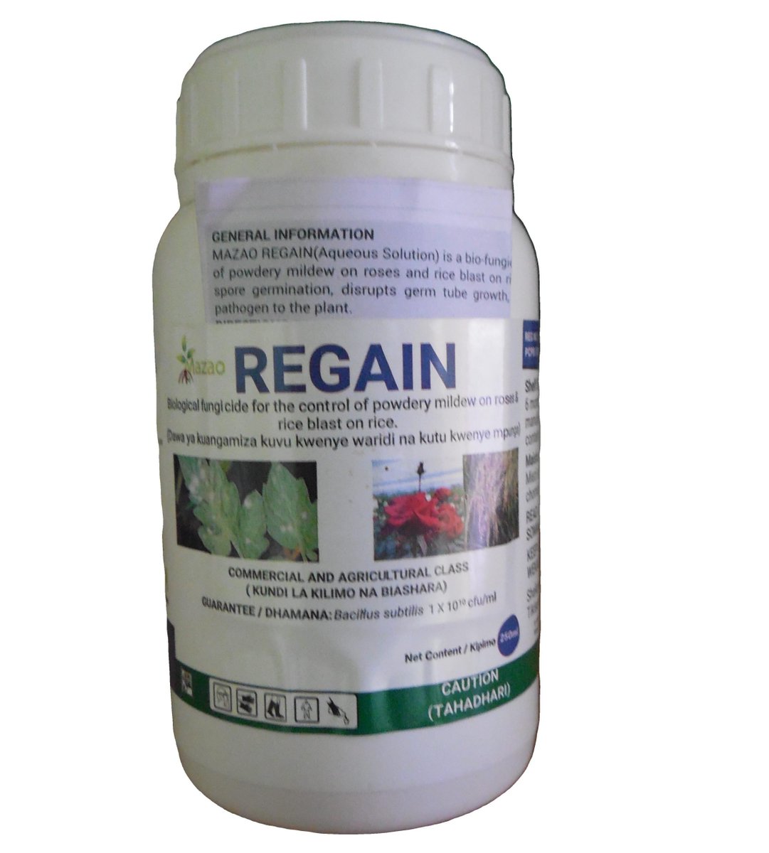 essentiakanan's tweet photo. Mazao Regain is a natural bacterium, Bacillus subtilis, that can be used as a foliar spray for diseases such as powdery mildew, rust, botrytis, and leaf spots.  Control of bacterial wilt of tomatoes when drenched weekly on the roots. Get it at https://t.co/Um1IQOl7zc https://t.co/H59UKhChIJ