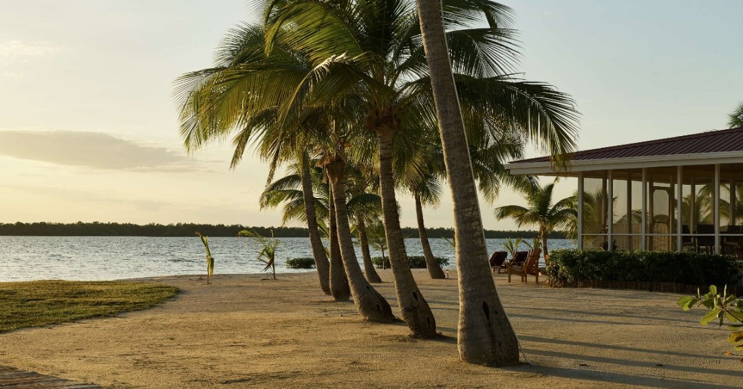 TurneffeResort's tweet photo. The island has a stillness to it that's hard to find anywhere else. No noise, no rush, just the elements of nature quietly settling in. 🌴 https://t.co/CfPD19OHev