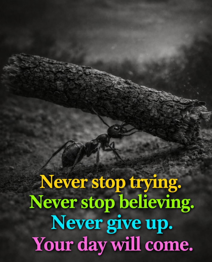 Ancient_Wisdom6's tweet photo. https://t.co/QO6ODNH8RN