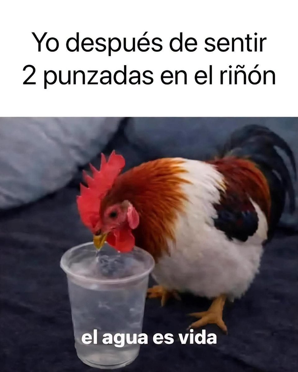 EnsedeCiencia's tweet photo. 😆😆 https://t.co/KjcEs4r6al