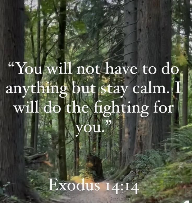 Teresa42254207's tweet photo. Thus saith the Lord, https://t.co/yCe0gGSey1