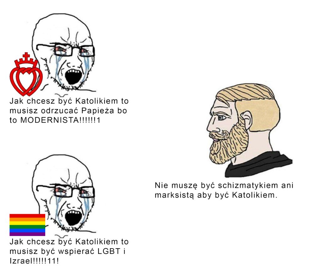 NormalnyMlodyPL's tweet photo. Można krytykować działania Kościoła Katolickiego, jednocześnie pozostając mu lojalnym. https://t.co/oXM6uL6dt3