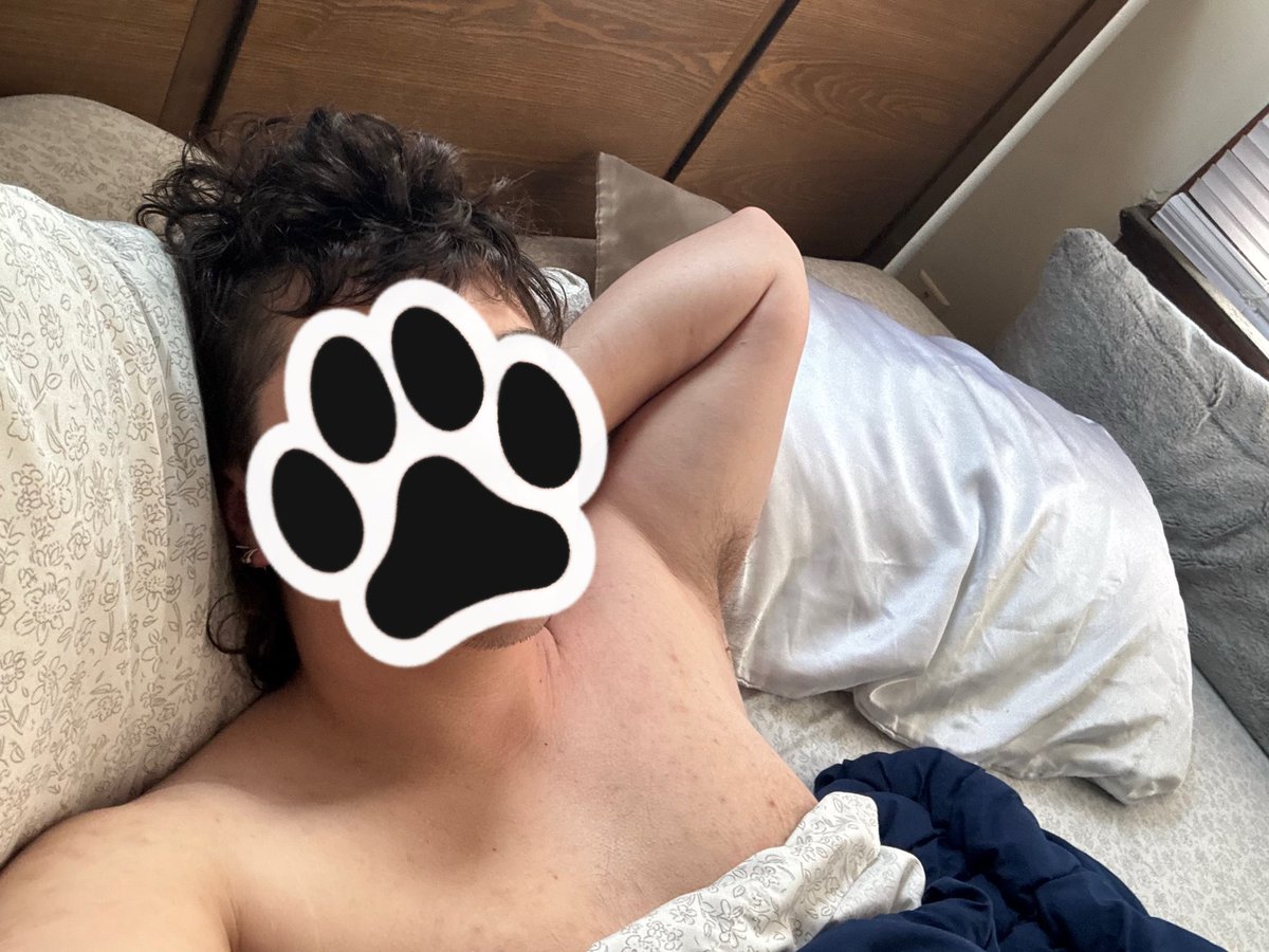 pupskulle's tweet photo. everyone is at anthrocon... who is going to keep my company in my nice comfy bed?? https://t.co/dwhQ9EjY88