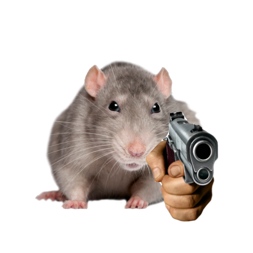 LittleGuySMP's tweet photo. reply to this tweet with #LittleGuySMP and i'll assign you one of my many. MANY. rat reaction images. 🐀📢 https://t.co/CwVSjDjki6