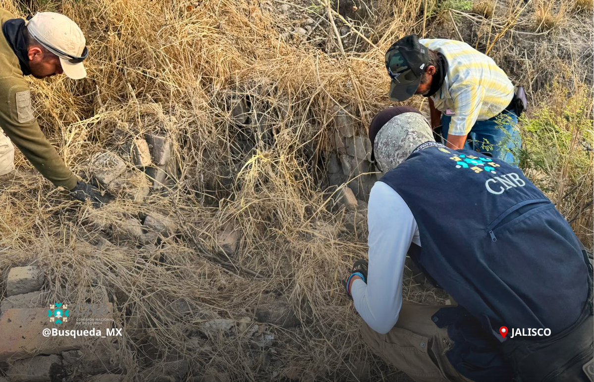 Busqueda_MX's tweet photo. ⚠️ #AccionesDeBúsqueda | #Jalisco | #Nacional

Como parte del seguimiento a las labores permanentes de búsqueda, personal de la Comisión Nacional de @Busqueda_MX realizó trabajos de búsqueda generalizada en campo forense en el estado de #Jalisco. Con la participación permanente de los familiares de personas desaparecidas.

En coordinación con la Comisión de Búsqueda de Personas del Estado de Jalisco, Guardia Nacional, Policía Estatal y Policía Municipal.

Para el @GobiernoMX la localización de personas desaparecidas es una prioridad nacional. Por ello, se fortalecen las búsquedas en vida y forense mediante trabajo en territorio y atención cercana a las familias.

#PersonasDesaparecidas #AlertaNacional #BúsquedaNacional #HastaEncontrarles