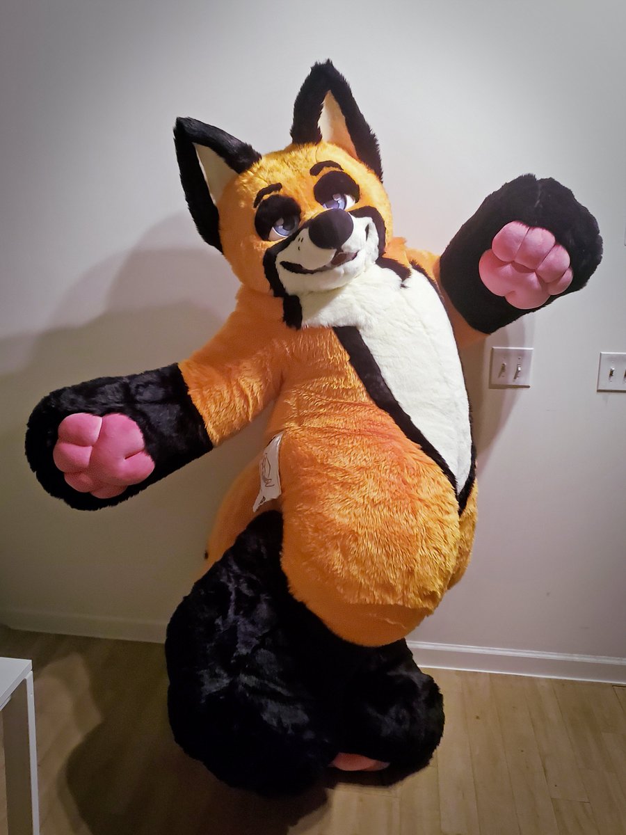chronopaw's tweet photo. For this #fursuitFriday, I'd like to introduce..
Auren!

#fursuit #plushsuit #fursuiter https://t.co/p2pkoxOqeZ