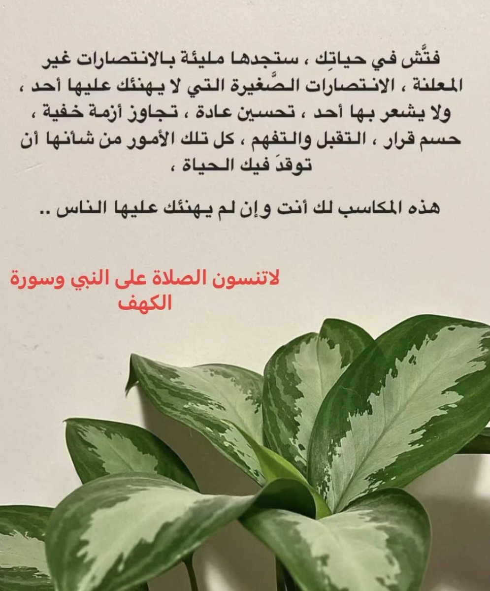 kkyaall's tweet photo. https://t.co/W8wEBDx7cO