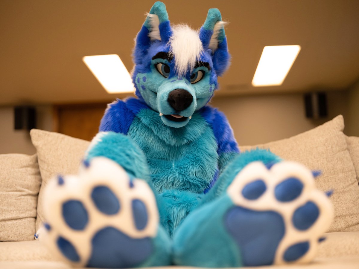 kaiserthebloo's tweet photo. Hey, my eyes are up here 🐾 #fursuitfriday
📷: @jaxwulf 
🪡🧵: @MadeFurYou https://t.co/MaPmuPpbny