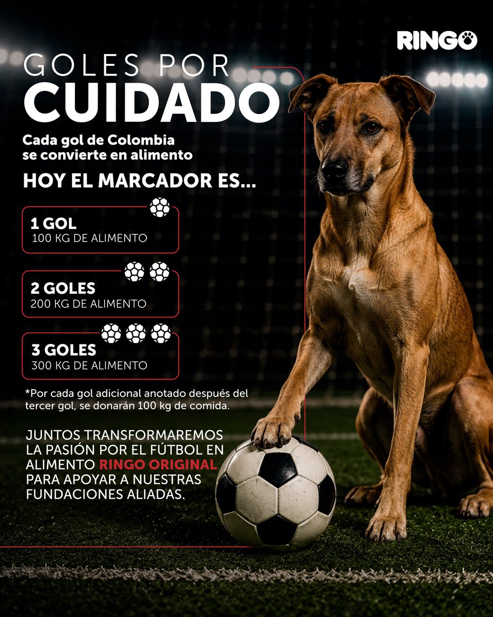 efectoringo's tweet photo. Hoy jugamos por algo más grande que un resultado. ⚽

Cada gol de Colombia se convertirá en kilos de alimento para apoyar a perros que esperan una segunda oportunidad.❤️‍🩹

Porque juntos podemos transformar la pasión por el fútbol en bienestar para quienes más lo necesitan.🐶 https://t.co/9PTXotNcmS