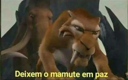 OttoSF10's tweet photo. @FuxicoTeresina https://t.co/hHminA2FJx