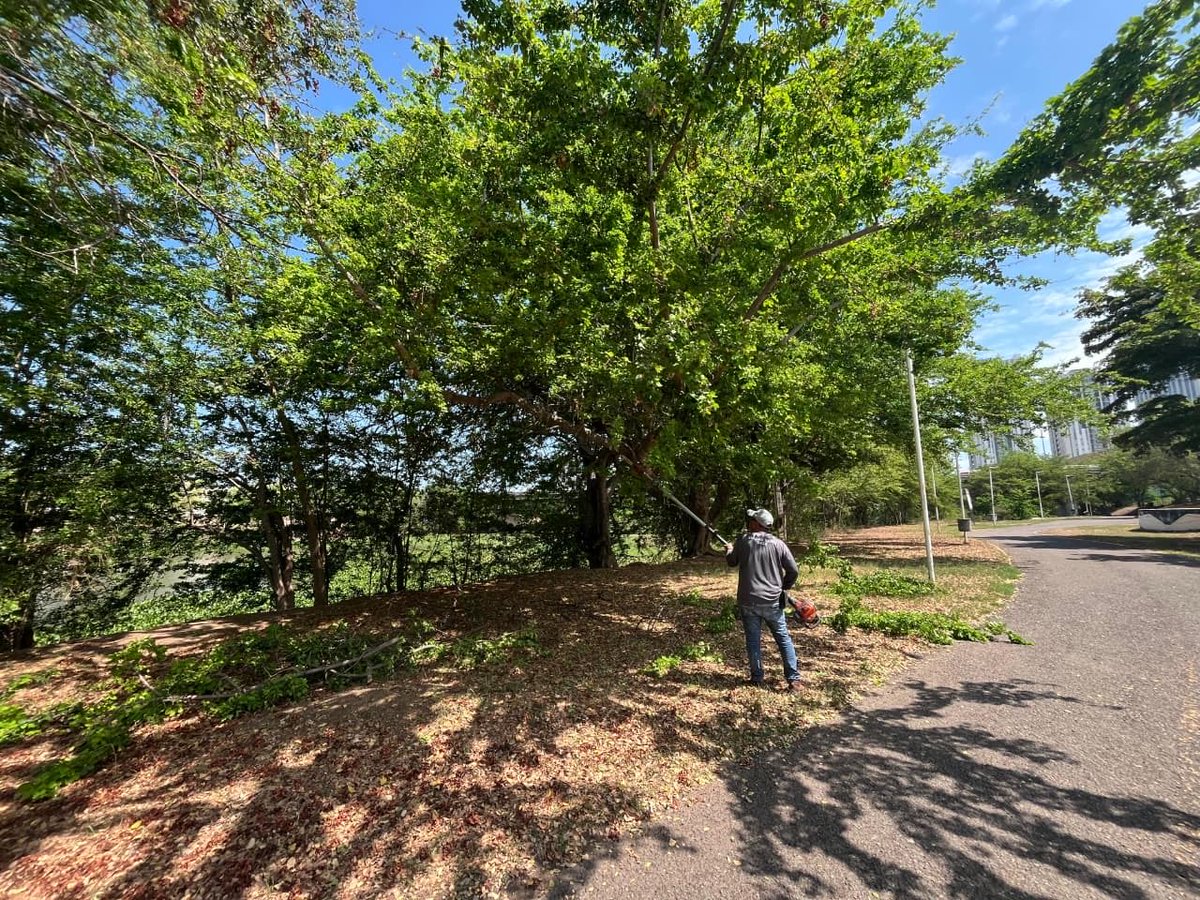 ParqueRiberas's tweet photo. Preparamos Parque Las Riberas para recibirte este fin de semana.🌿

¡Disfrútalo y ayúdanos a mantenerlo limpio! 💚 https://t.co/l4c9dj6cwI