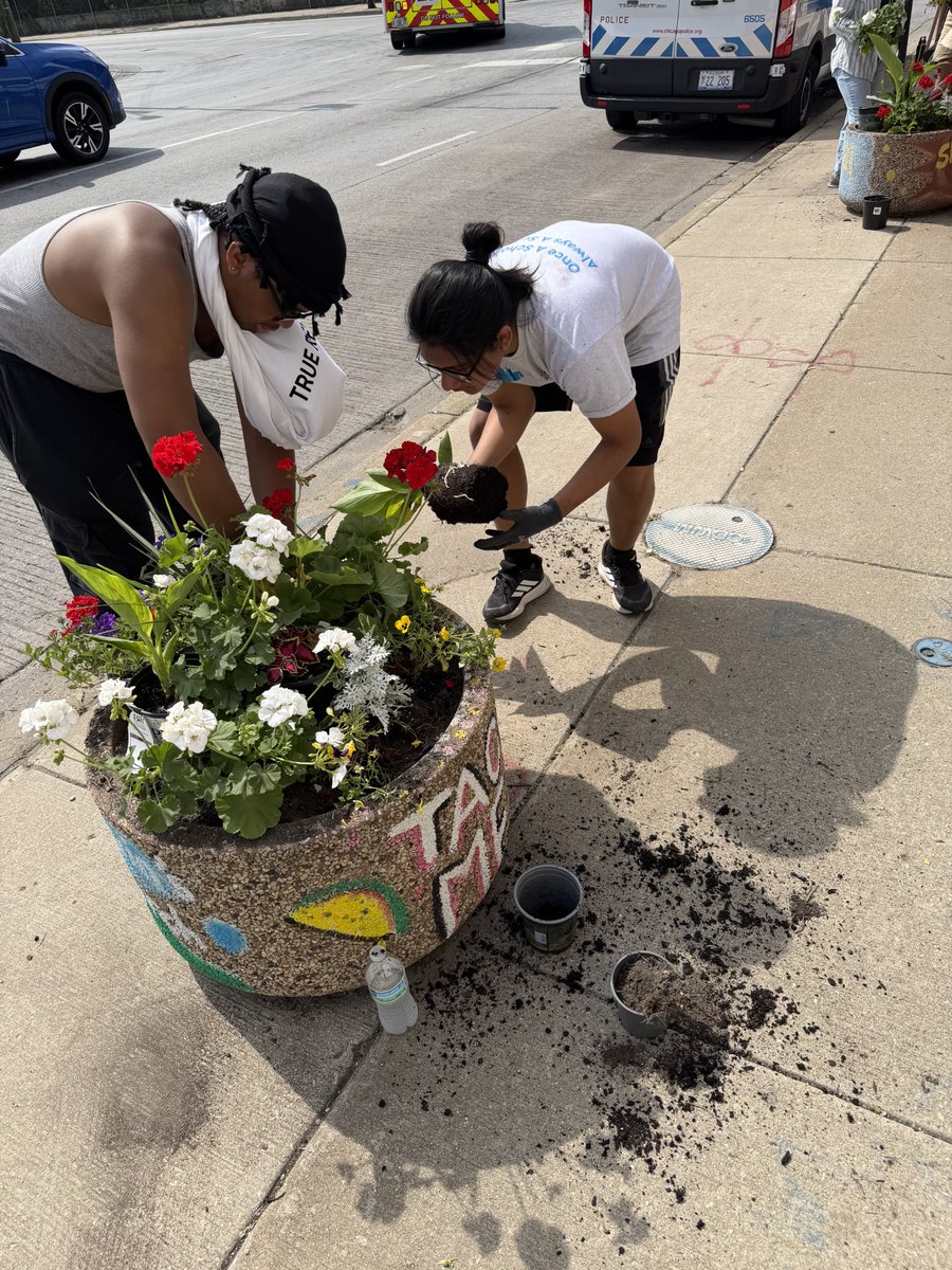ChicagoCAPS04's tweet photo. Our YDAC summer program partnered with BuenGro to replant neighborhood planters, learning about teamwork, responsibility, and caring for the community. Huge THANK YOU to Asphalt Operations Services of Chicago (AOS) for providing the funding for this great cause. https://t.co/HxveBC3v4q
